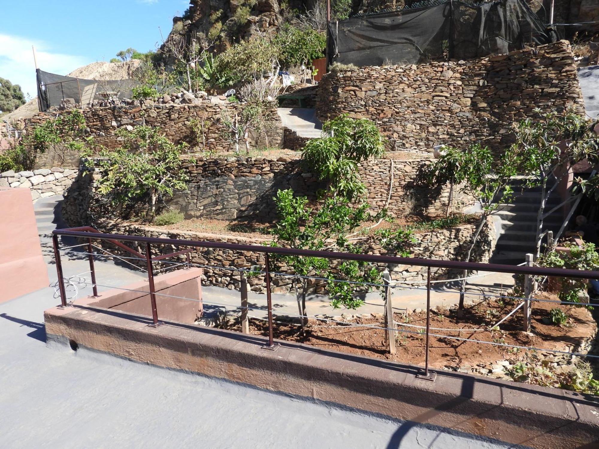 Tonono'S Village Santa Maria de Guia de Gran Canaria Exterior photo